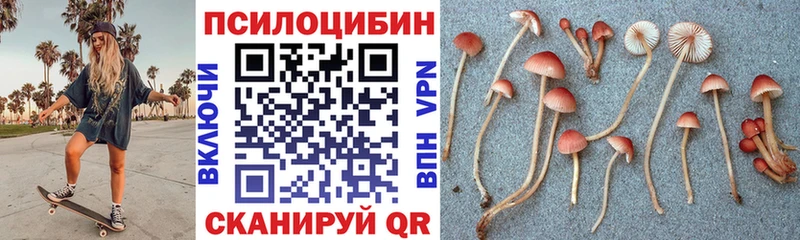 Галлюциногенные грибы GOLDEN TEACHER Мценск